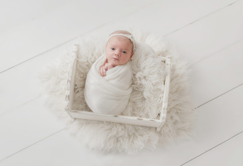 Newborn Portrait Session Bradenton